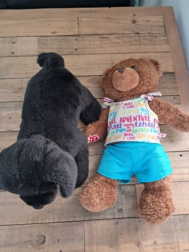 Build bear dog plush - build, &