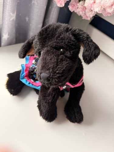 Build bear black - build-a-bear, labrador