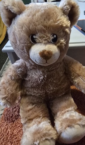 Build bear workshop - a,
